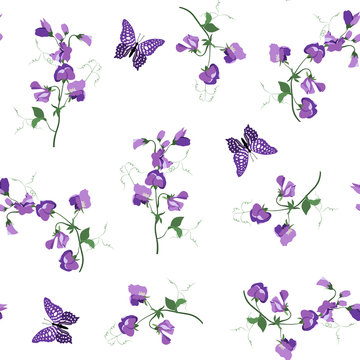 Seamless vector illustration with sweet pea and butterflies on a white background .