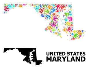 Vector Collage Map of Maryland State of Colorful Hemp Leaves and Solid Map