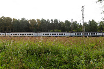 The passenger train rides against the background of a summer forest and field.