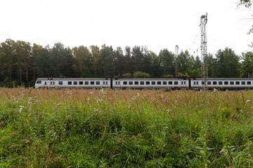 The passenger train rides against the background of a summer forest and field.