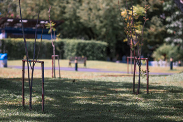 Fototapeta premium Background of tourist attractions where people come to see the beauty of the architecture of the golden pagoda in Bangkok (Wat Metal Prasat Or Wat Ratchanaddaram Worawihan) in Thailand