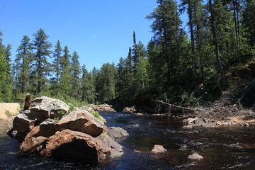 Rivière en forêt boréale lac saint-Jean Québec