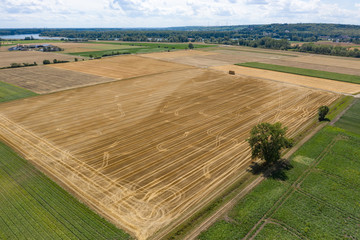 Bird's eye view of a harvested grain field in the Hessian Ried / Germany