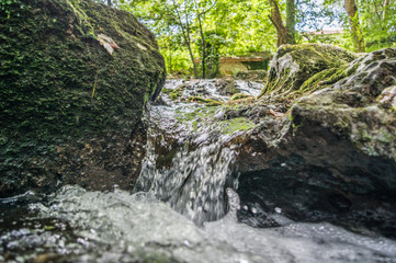 Fototapeta premium El río Aguanaz atraviesa rápido entre bosque y piedras.