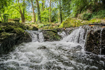 Fototapeta premium El río Aguanaz atraviesa rápido entre bosque y piedras.