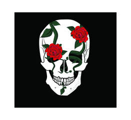 
Skull with flowers with roses in vector