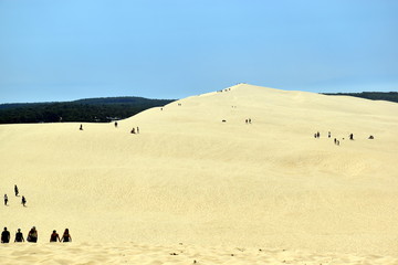 Fototapeta na wymiar Menschen laufen über die Dune du PIlat