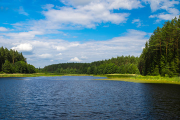 Summer lake landscape, nature background
