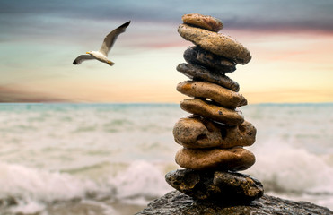 Stones balance on beach, sunrise shot. Seagull in flight. 