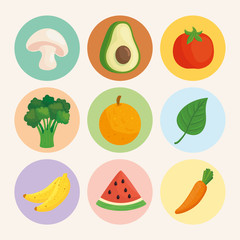 set vegetables and fruits on round frames, in white background vector illustration design