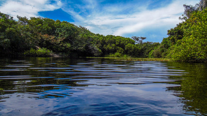 Lago da princesa em Algodoal - Pará. © Alcindo Mendes