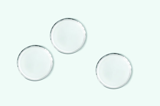 Empty Petri Dishes Isolated Realistic Vector Illustration. Concept Laboratory Tests And Research. Transparent Chemistry Glassware On Light Blue Background