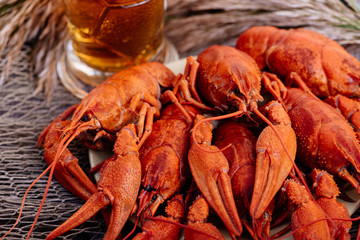 Crayfish and beer for Oktoberfest