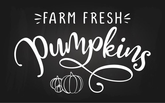 Farm fresh Pumpkins - Harvest fall festival design for markets, restaurants, flyers, cards, invitations, stickers, banners. Hand painted brush pen calligraphy isolated on black chalkboard background.
