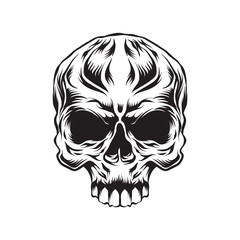 head skull vector illustration