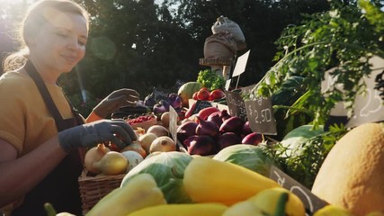 Farmer girl prepares the counter with organic vegetables and fruits for the arrival of buyers at the farmers market