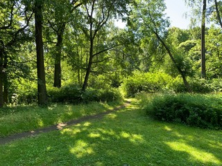 footpath in the park