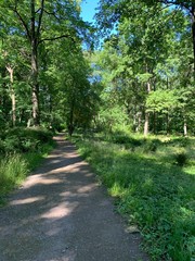 Fototapeta premium footpath in the park