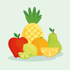 set of tropical fresh and healthy fruits vector illustration design