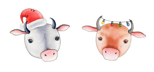 Funny cartoon bull or cow  watercolor illustration set. Hand drawn 2 funny zodiac symbols of 2021new year. Cartoon bulls portrait element. Happy farm animals isolated on white background
