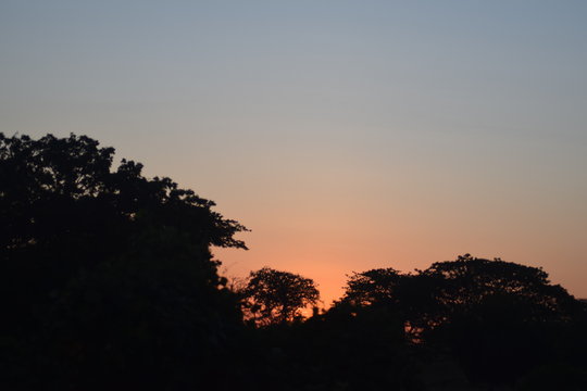 sunset in the forest, Colombia