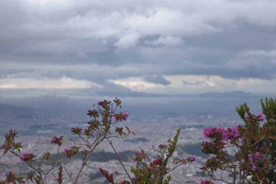 flowers in the sky, Bogot&aacute; Colombia