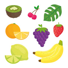 set of fruits and leaf tropical vector illustration design