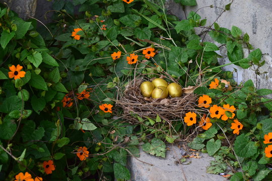 Eggs and flowers 