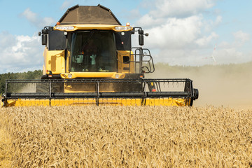 Grain harvesting equipment in the field. Harvest time.