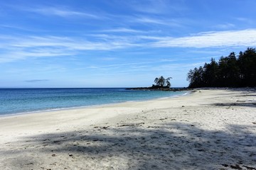 An incredible view of the sandy beaches of nels bight and experimental bight, surrounded by forest and the pacific ocean, along the beautiful cape scott trail on Northern Vancouver island