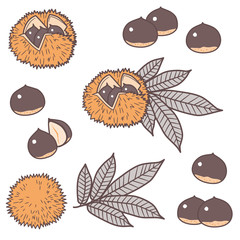 Chestnut set / Chestnuts and leaves / 2 colors
