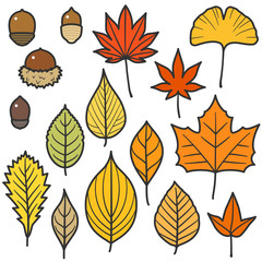 Autumn Leaves and Acorns Set / With Lines