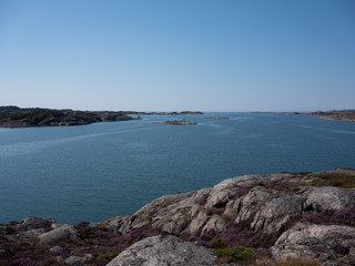Seascape photo with small rocky islands and blue sky. Heather bushes are in the foreground