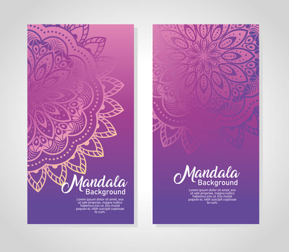 set backgrounds luxury mandalas, decorative and elegant mandalas, ornamental vector illustration design