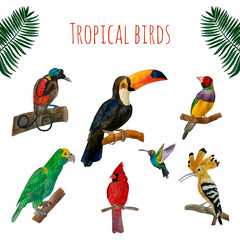 Tropical birds set: toucan, gouldian finch, hummingbird, northern cardinal, bird-of-paradise, eurasian hoopoe, yellow-shouldered amazon. Watercolor vector illustration.
