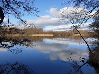 Obraz premium Winter afternoon at the lake
