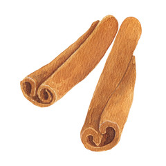 Watercolor cinnamon sticks isolated on white background.