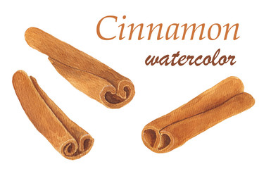 Set of watercolor cinnamon sticks isolated on white background.