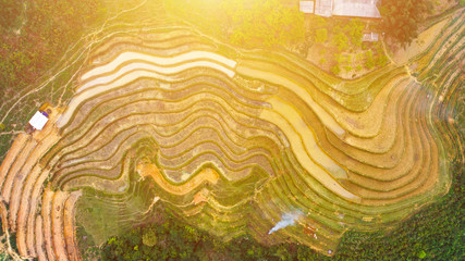 Aerial top view of paddy rice terraces, green agricultural fields in countryside or rice field terraces in Sapa, Lao Cai Province, North West Vietnam in Asia. Nature landscape background.