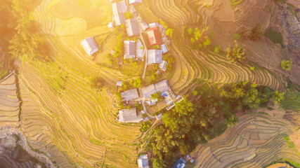 Aerial top view of paddy rice terraces, green agricultural fields in countryside or rice field terraces in Sapa, Lao Cai Province, North West Vietnam in Asia. Nature landscape background.