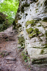 Rocks in the middle of the forest