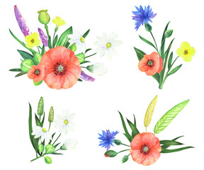 Set of watercolor Bouquets  with wildflowers. Hand painted watercolor floral Bouquets .