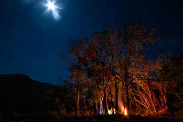 Trilhas Trekking Hiking Camping