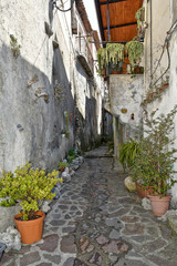 Fototapeta na wymiar A narrow street among the old houses of Orsomarso, a rural village in the Calabria region.