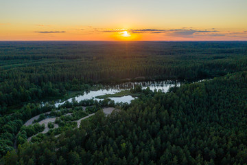 Obraz premium colorful sunset over over the trees, evening landscape