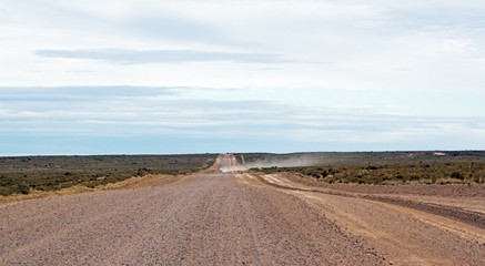 Fototapeta na wymiar Empty dirt road in the Argentinian pampa, on Peninsula Valdes