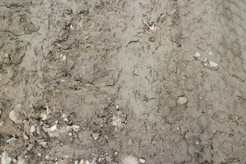 Stones and dirt on a dirt road