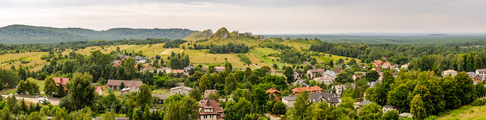 Fototapeta na wymiar panorama of the village in the Krakolw-Czestochowa Jura
