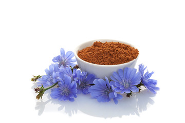 Diet drink chicory in a cup -  powder and flowers on the white background.