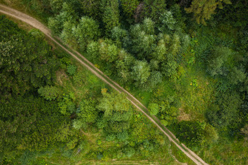 off-road in forest, view from drone © Ruslan